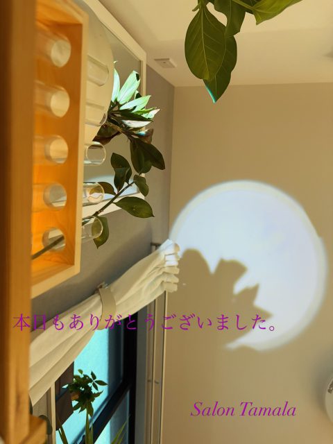 暑いってだけで頑張っている自分にご褒美タイム️